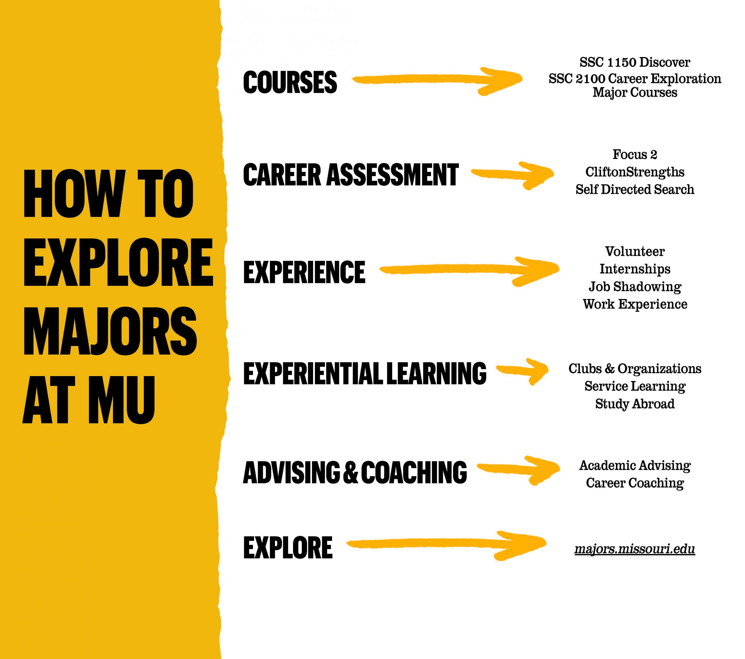 Explore Careers  The Major Experience